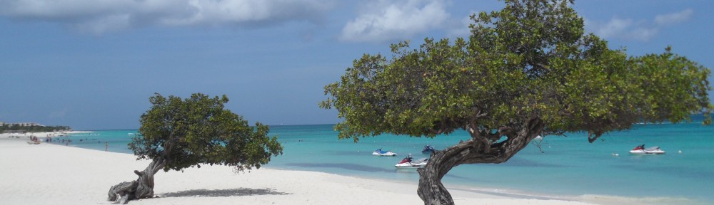 Fasten your seat belt