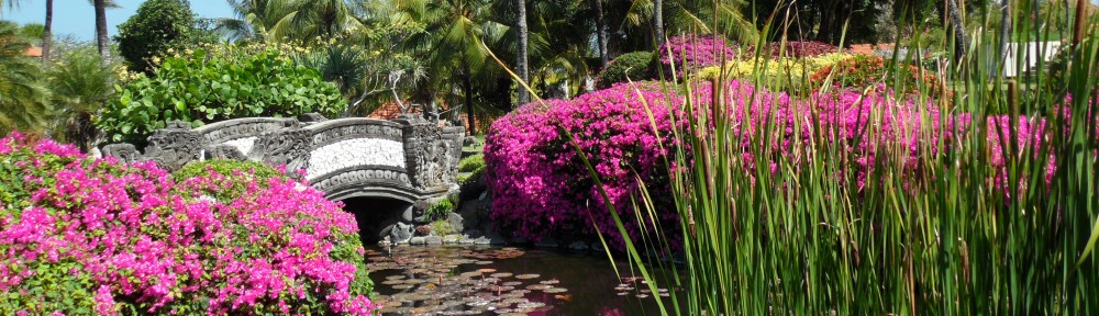 Fasten your seat belt